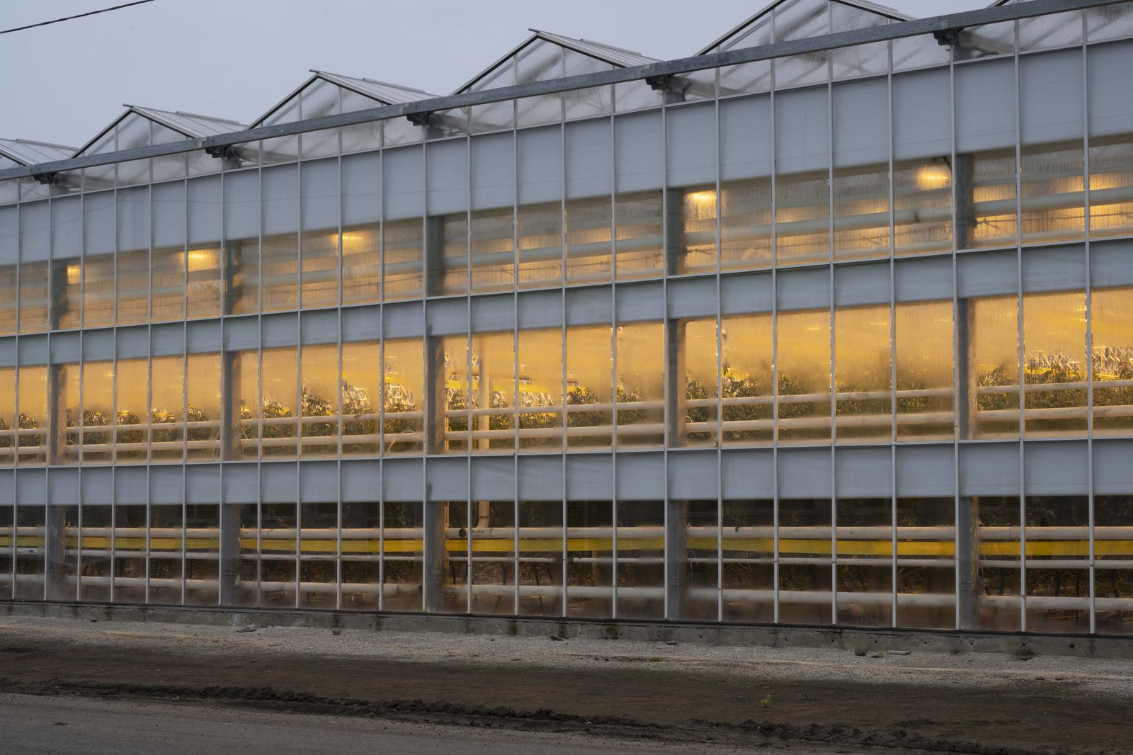 Glasshouse exterior glowing at dusk