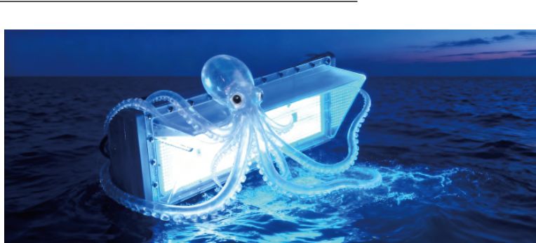 Marine LED fishing light illuminating the sea