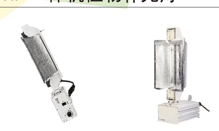 HPS and CMH horticultural HID fixtures